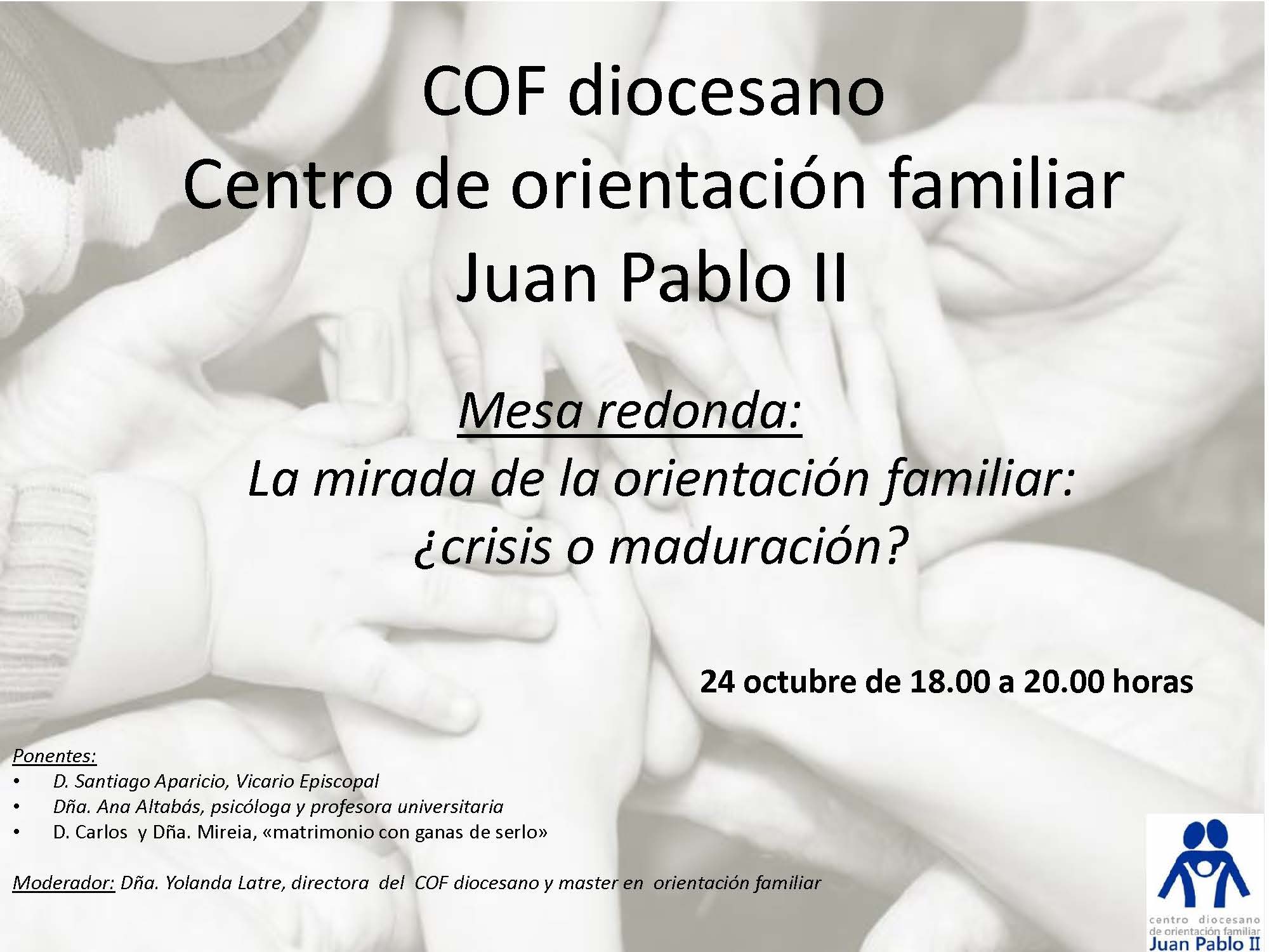 Mesa redonda Centro Joaquín Roncal