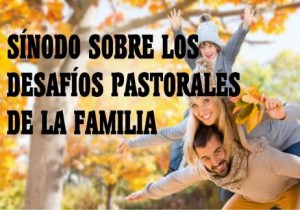 sinodofamilia_462
