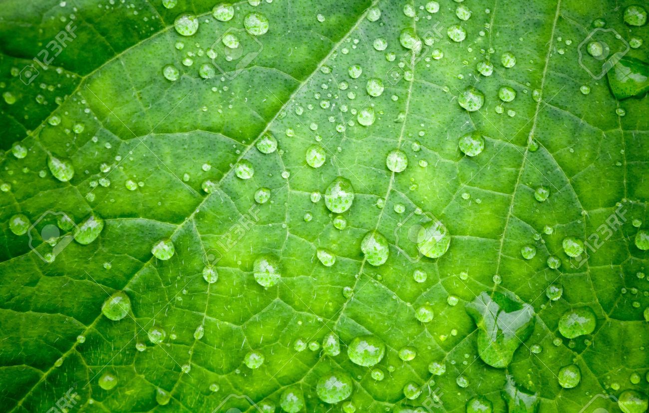 Talleres de Desarollo Personal ¡inscripción abierta!