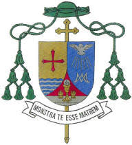 Acción de gracias y apoyo de los fieles a su Obispo y al Centro de Orientación Familiar de Alcalá de Henares