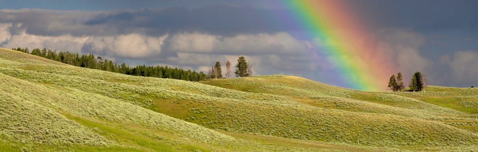 Solidaridad y Coronavirus