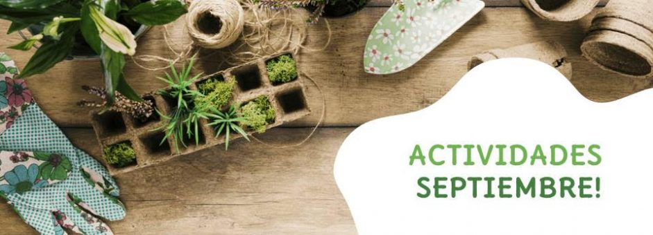 Quién dijo inactividad en tiempos de pandemia?