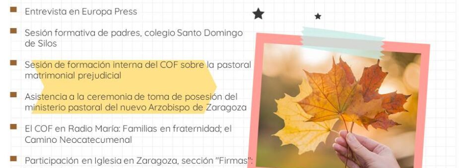 Actividades noviembre!